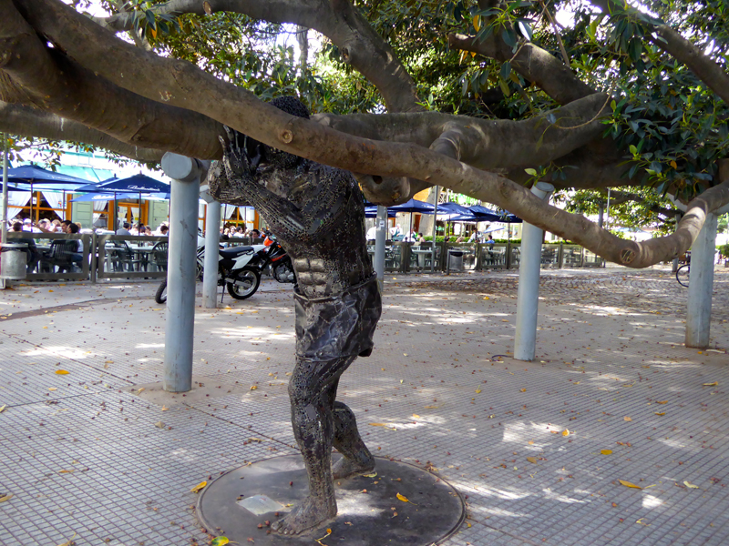 A statue joins the functional supports that hold up the spreading branches of Ficus macrophylla.