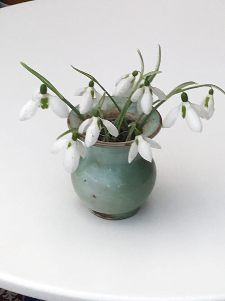 snowdrops in a vase