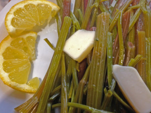 I steamed the alexanders stems, then squeezed some lemon juice over and a couple of dobs of butter... they are delicious!