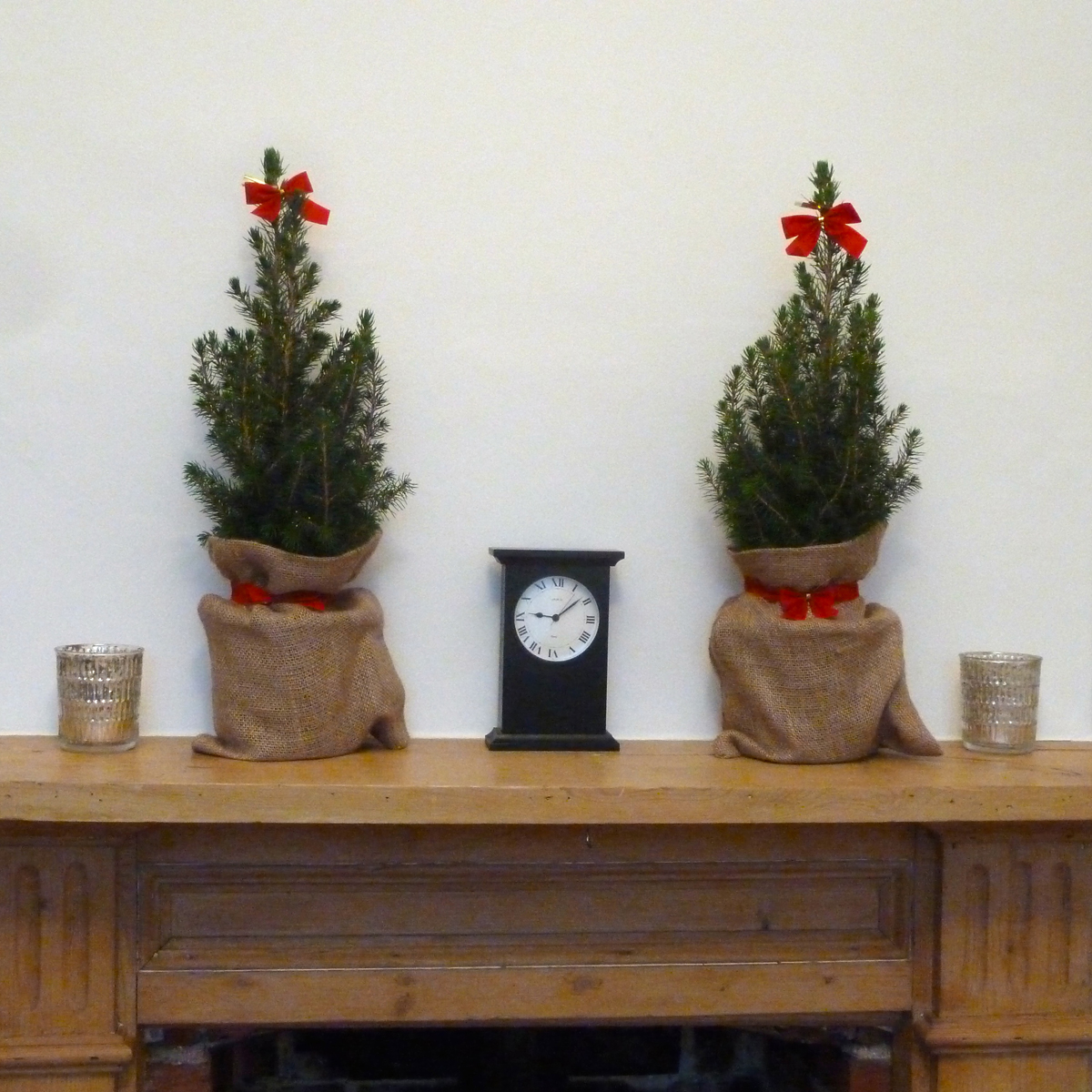 two miniature christmas trees