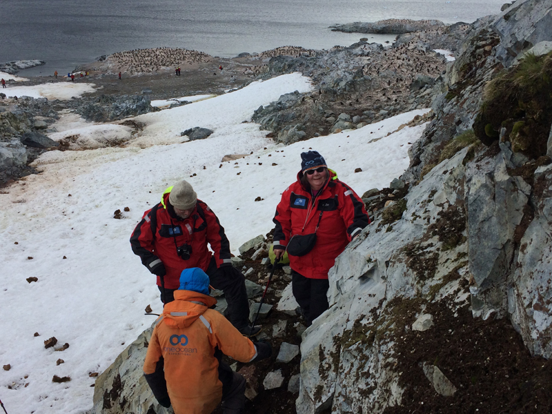 Inspecting a clump of Antarctic moss. I had help getting up to these heights! 