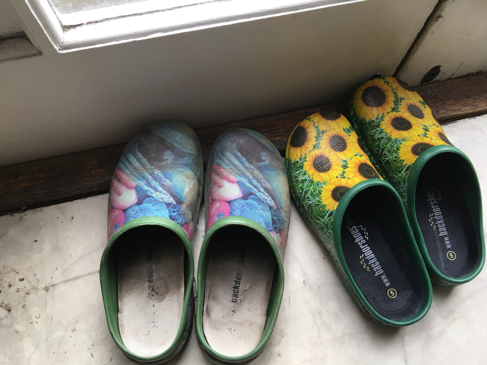 two pairs of backdoor shoes