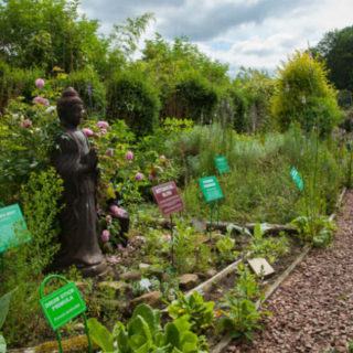 Dilston Physic Garden is a modern physic garden created by Professor Elaine Perry