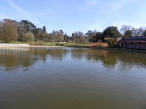 Chinese Dairy Pond at woburn abbey