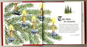 Christmas Tree book by Barbara Segall published Ebury Press