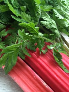 Rhubarb and sweet cicely