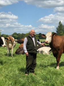 Graham Crickmore and cows in a field