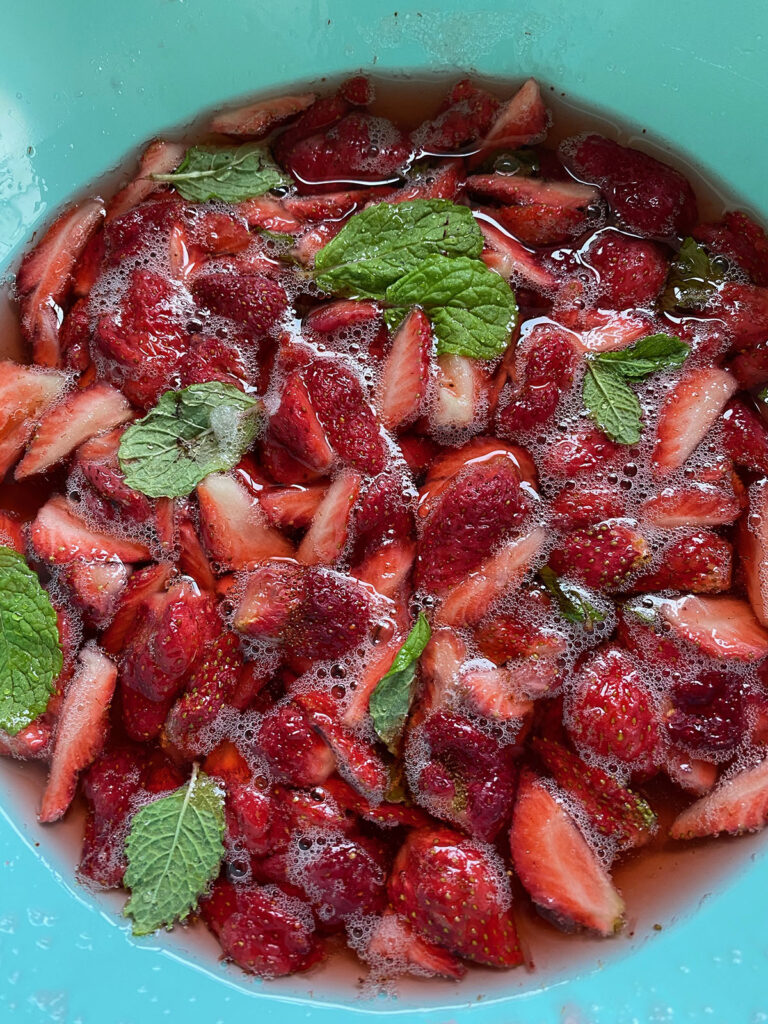 “Heminingway’s Mojito’ and a Strawberry and Mint Shrub