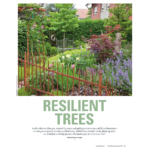 page of article in garden design journal about resilient trees
