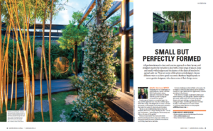 Magazine double page spread with illustration of garden on right, showing bamboo, grass, paving and building, text on right